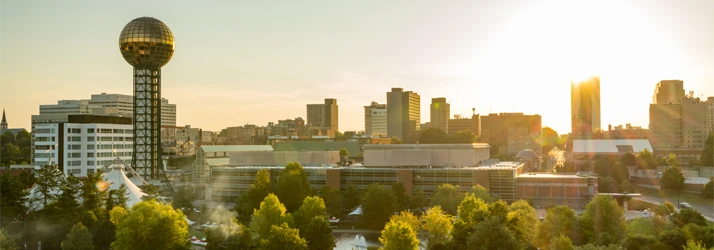 Chiropractic Service Area TN City overview Chiropractic Service Area TN City overview